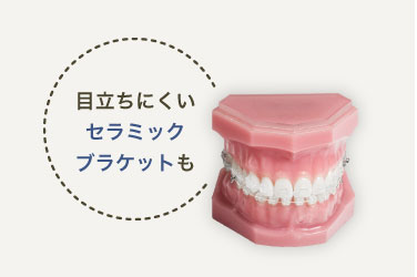 目立ちにくいセラミックブラケットも
