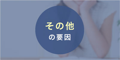 その他の要因