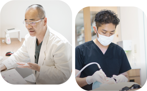日本矯正歯科学会認定医、日本成人矯正歯科学会認定研修修了